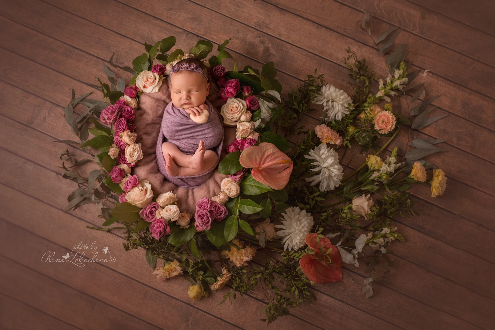 photography newborn