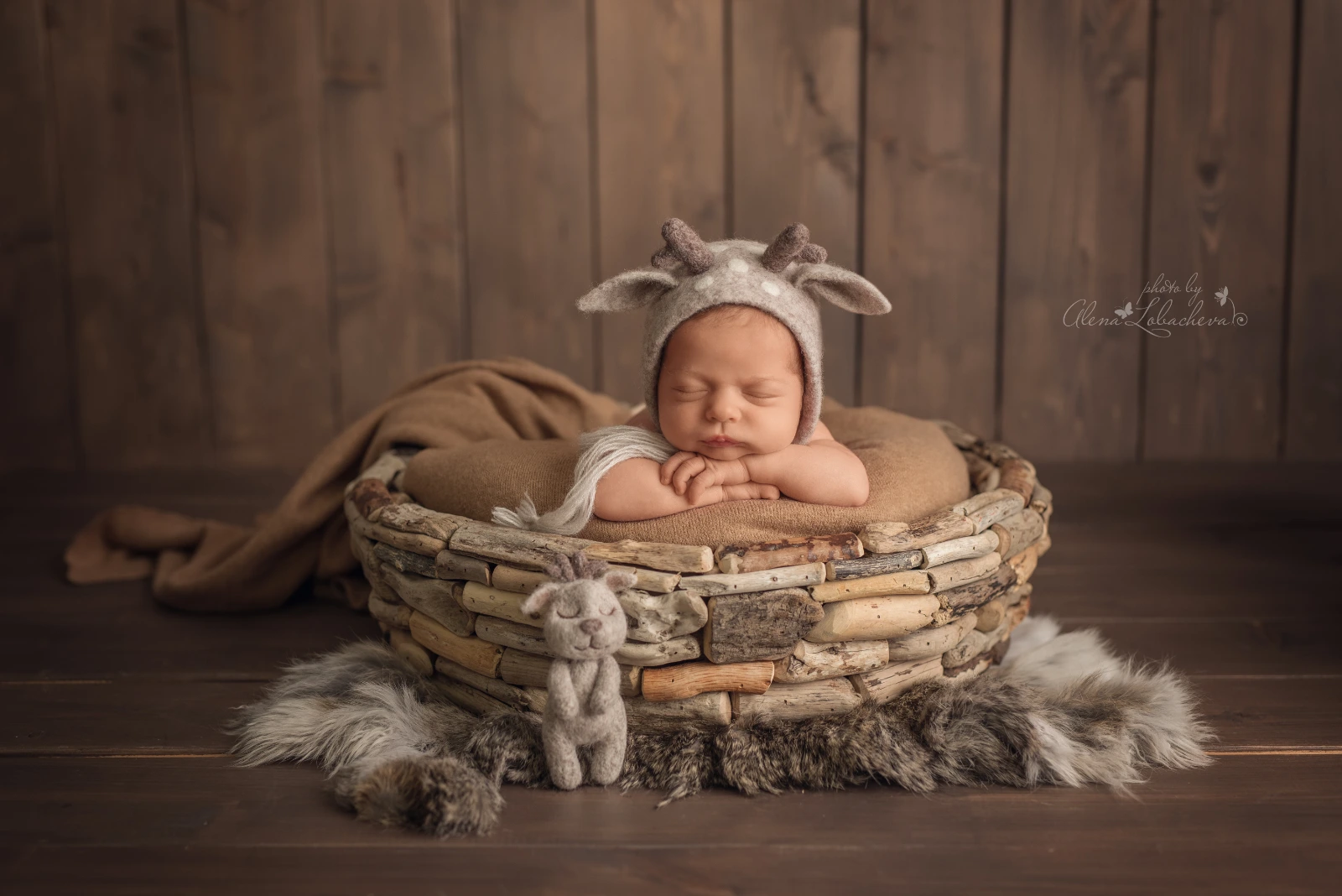 photography newborn