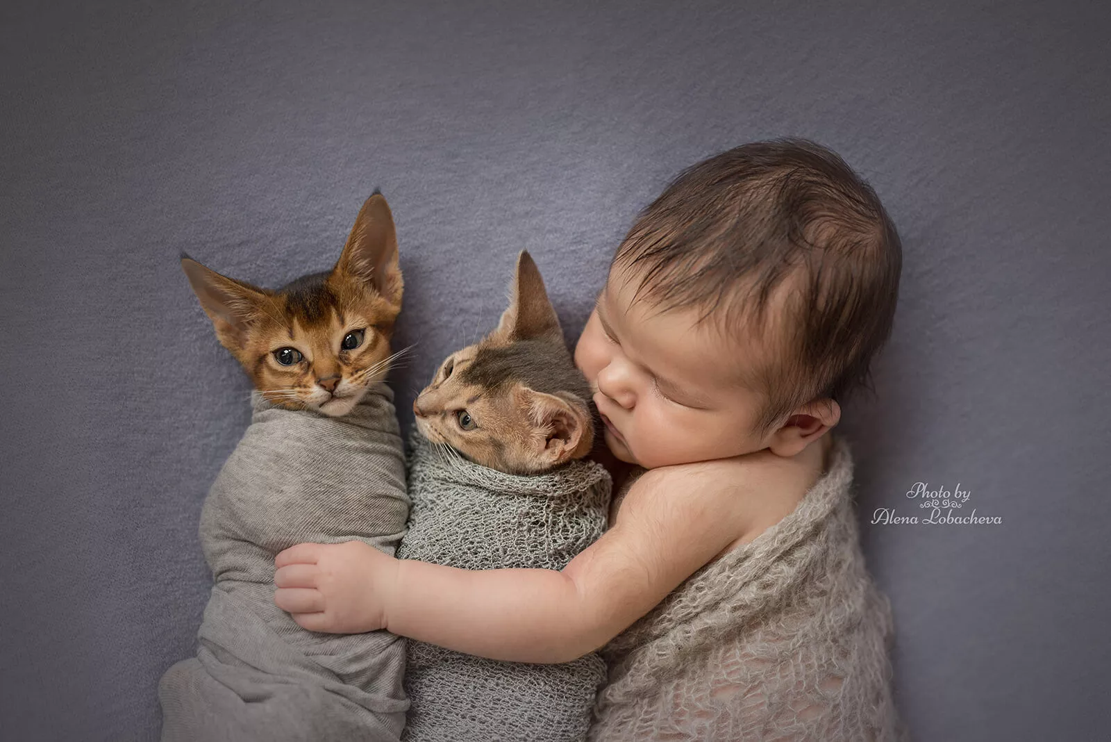 Newborn portrait by Alena Lobacheva in Charlotte, NC