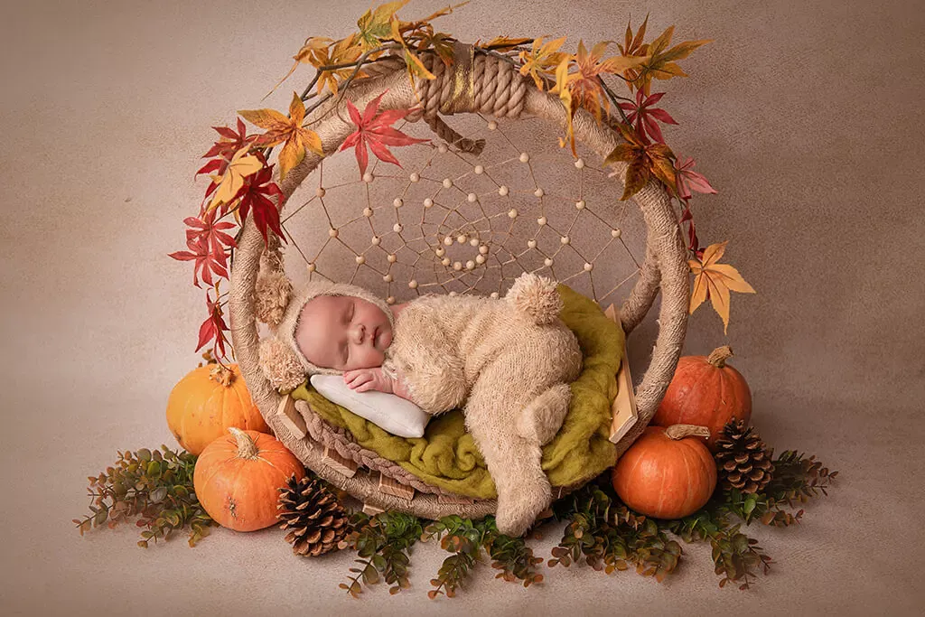 photography - package Newborn Standard